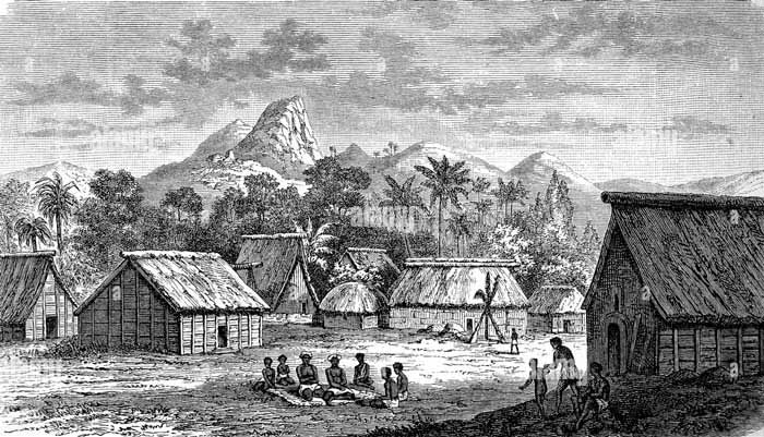 Kava Fiji History