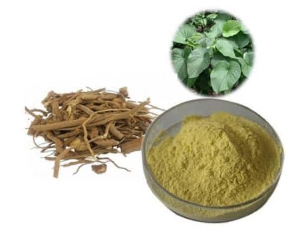 What are kava extracts